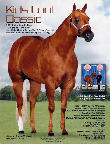 AQHA Palomino Stallion
